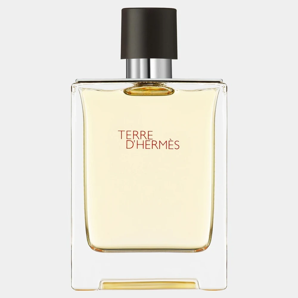 Hermes Terre d'Hermes 100 ml EDT