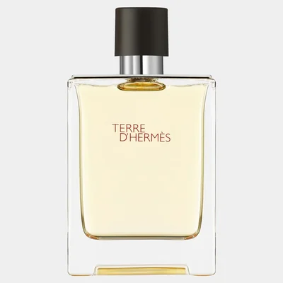 Hermes Terre d'Hermes 100 ml EDT